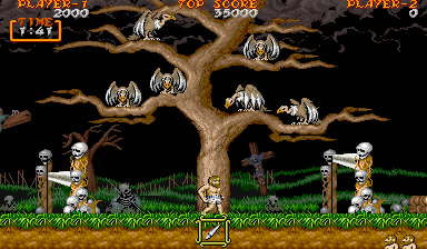 Ghouls 'N Ghosts (World)